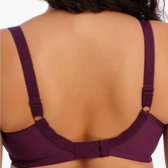 Elomi Deep Purple Lace Bra - Picture 2 of 8